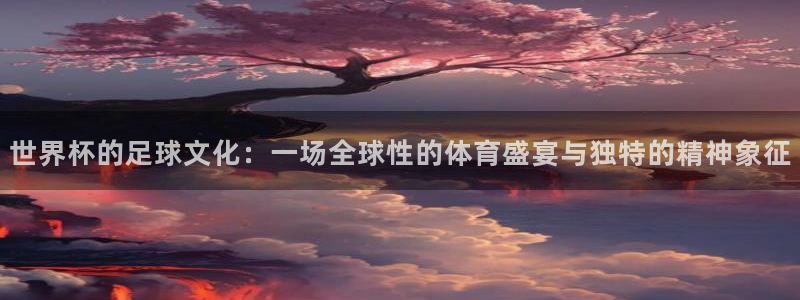 世界杯比赛赛程：世界杯的足球文化：一场全球性的体育盛宴与独特的精神象征