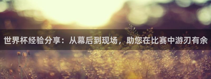 世界杯 2026：世界杯经验分享：从幕后到现场，助您在比赛中游刃有余
