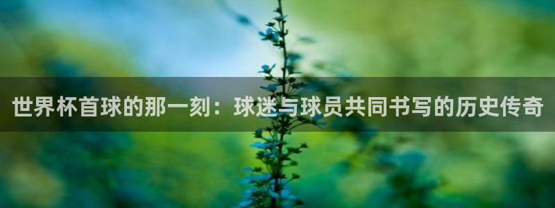 世界杯小组赛赛程：世界杯首球的那一刻：球迷与球员共同书写的历史传奇