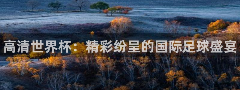 世界杯直播：高清世界杯：精彩纷呈的国际足球盛宴