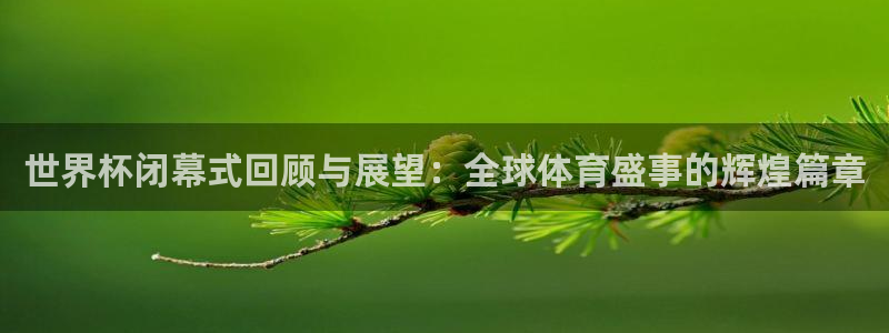 2026年世界杯直播平台：世界杯闭幕式回顾与展望：全球体育盛事的辉煌篇章