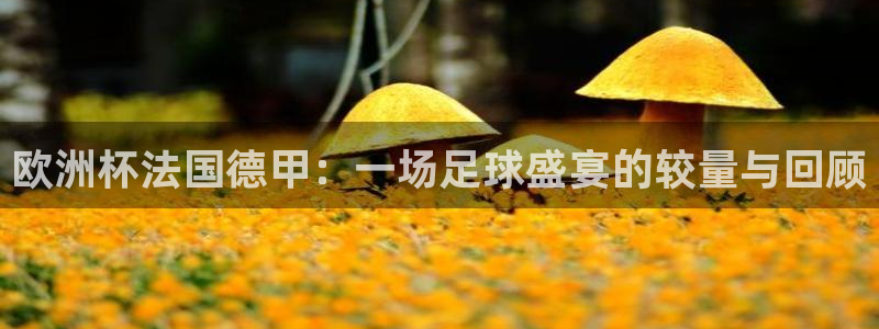 2026世界杯亚洲预选赛：欧洲杯法国德甲：一场足球盛宴的较量与回顾