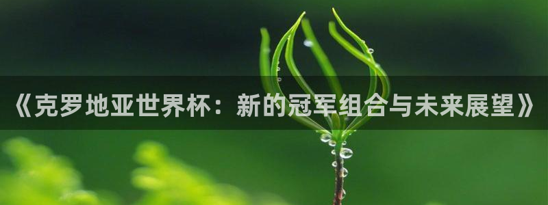 世界杯直播高清：《克罗地亚世界杯：新的冠军组合与未来展望》