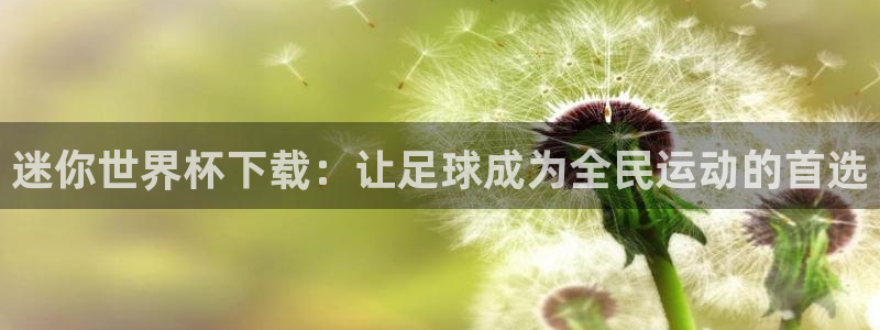 2026世界杯官网入口：迷你世界杯下载：让足球成为全民运动的首选