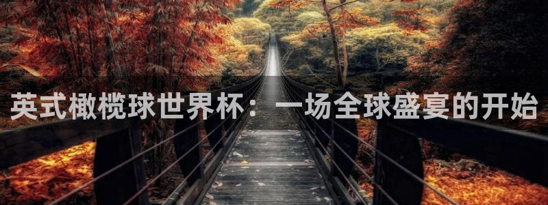 世界杯球队排名：英式橄榄球世界杯：一场全球盛宴的开始