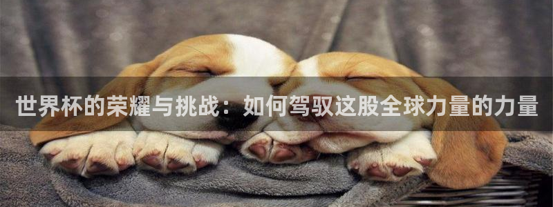 2026足球世界杯赛程：世界杯的荣耀与挑战：如何驾驭这股全球力量的力量