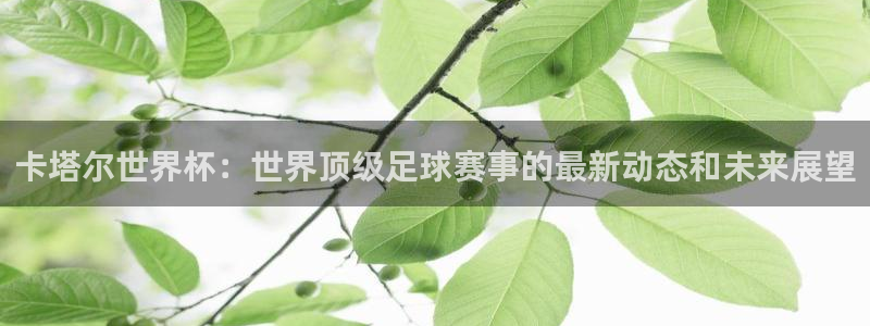 亚洲区世界杯预选赛：卡塔尔世界杯：世界顶级足球赛事的最新动态和未来展望