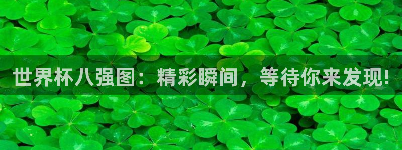 世界杯官网入口：世界杯八强图：精彩瞬间，等待你来发现!