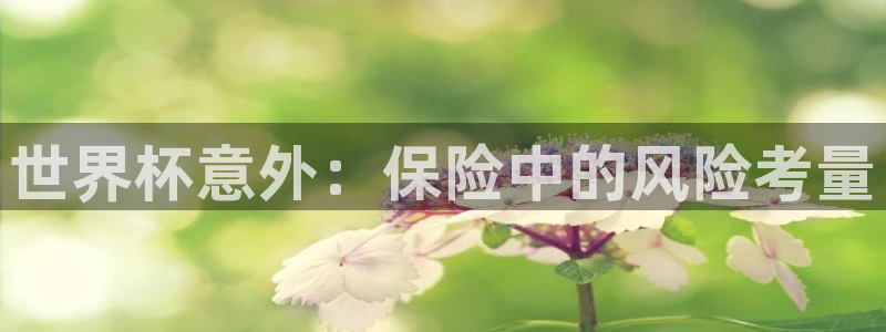 2026世界杯欧洲预选赛赛程表：世界杯意外：保险中的风险考量